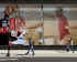 PhotoFunia_253e2.jpg (97442 byte)