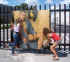 PhotoFunia_277a9.jpg (116926 byte)